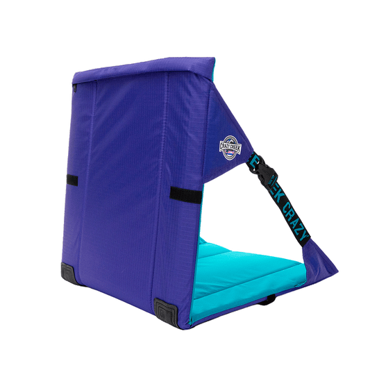 Original Purple/Teal Chair