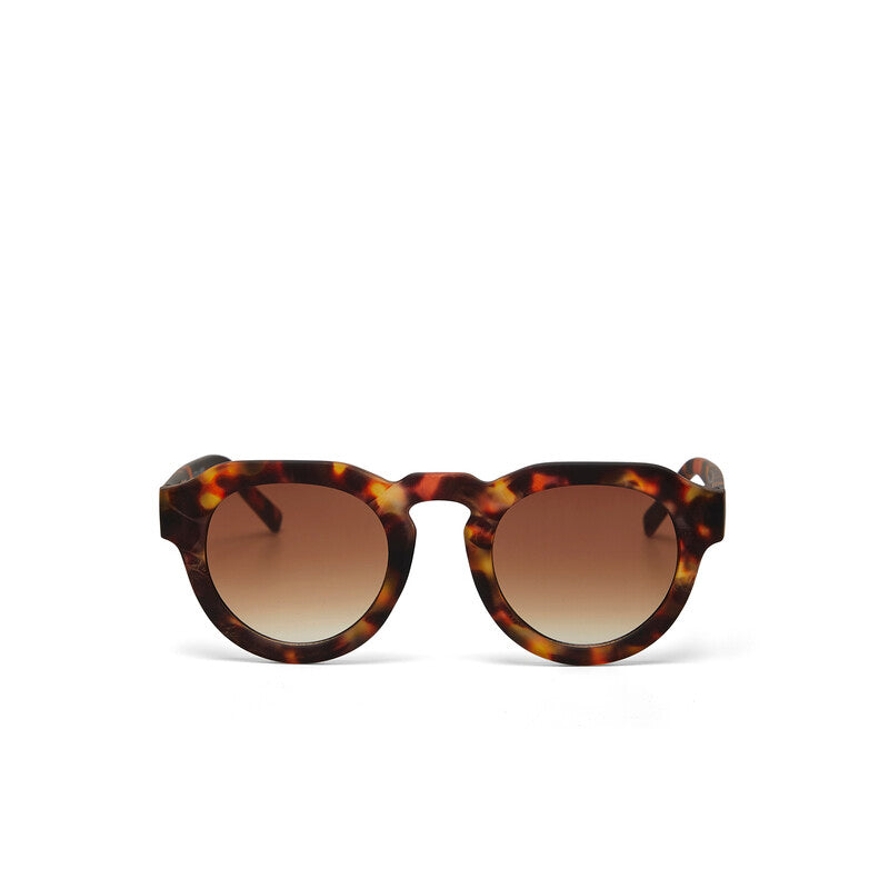 Lentes de Sol Unisex Zeno Marrón Okkia