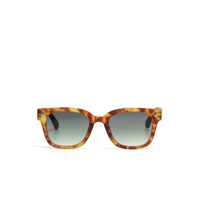 Lentes de Sol Unisex Giovanni Havana y Verde Okkia