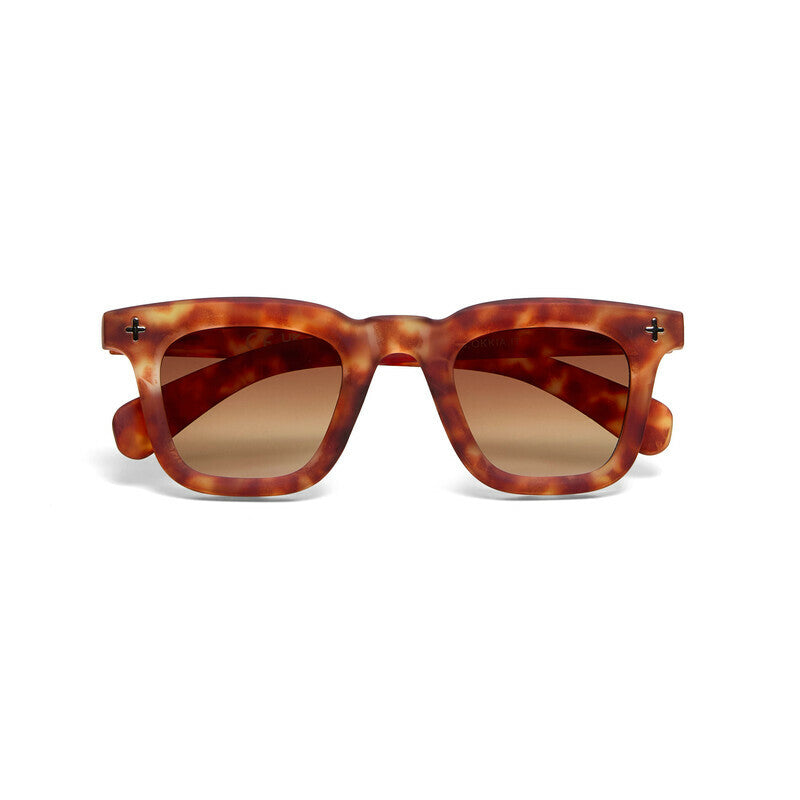 Lentes de Sol Unisex Firenze Havana y Marrón Okkia