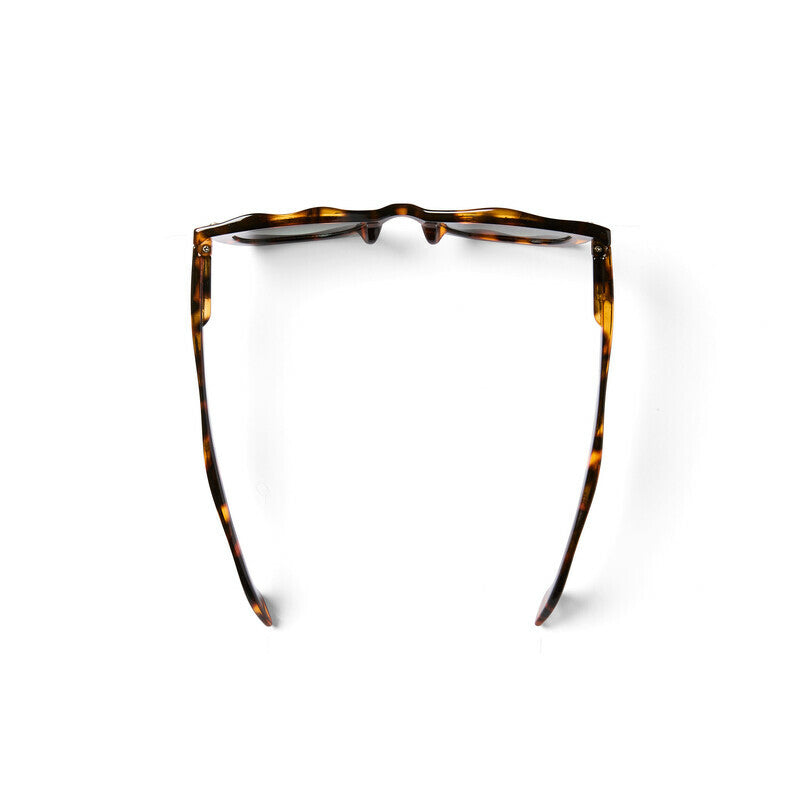 Lentes de Sol para Mujer Dakota Seletti x Okkia