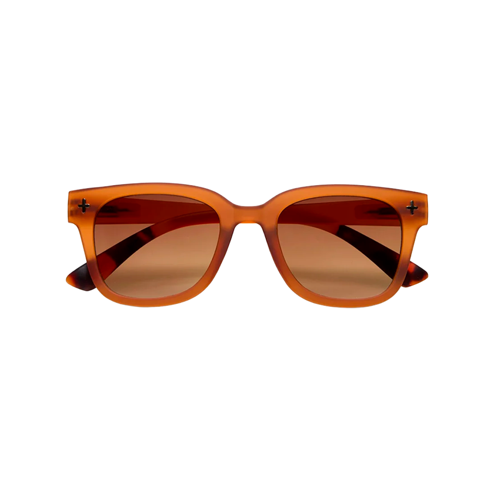 Lentes de Sol Unisex Giovanni Marrón Traslúcido Okkia
