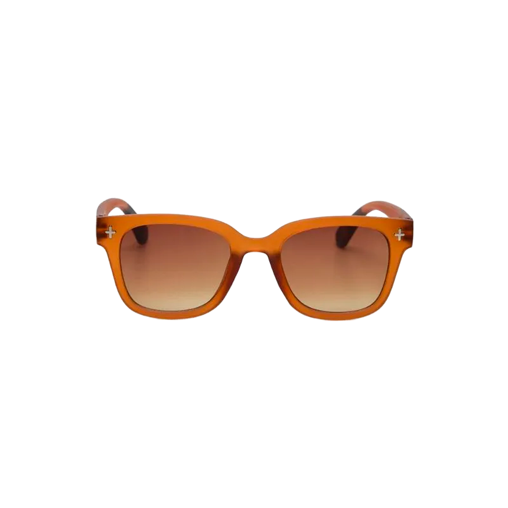 Lentes de Sol Unisex Giovanni Marrón Traslúcido Okkia